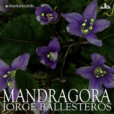 Mandragora