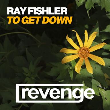To Get Down - Jungle Jaxx Remix