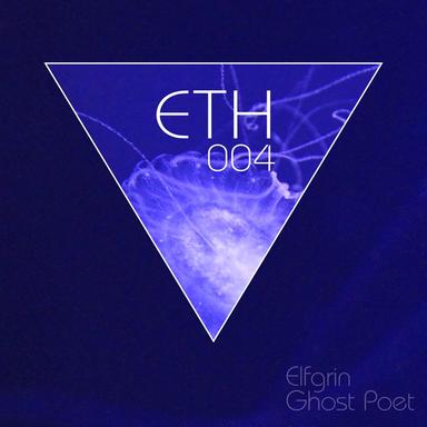 Ghost Poet - Lars Neubert Remix