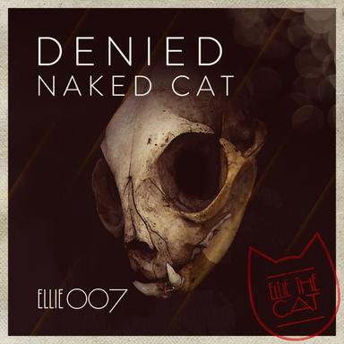 Naked Cat - Caio Jardini Remix