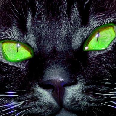 Meow - Miss Sunshine Remix