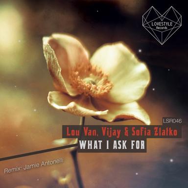 What I Ask For - Extended Mix