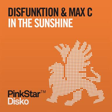 In the Sunshine - Radio Mix