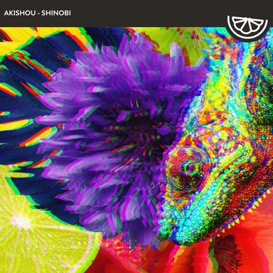 Shinobi - Extended Mix