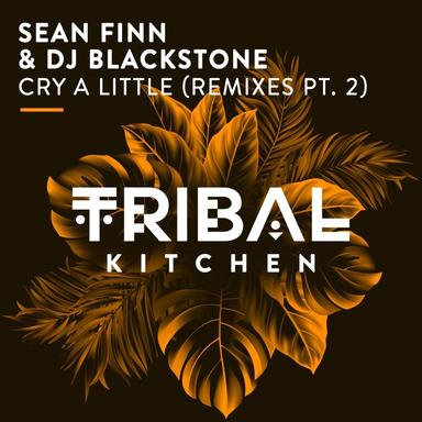 Cry a Little - DJ Kone & Marc Palacios Remix