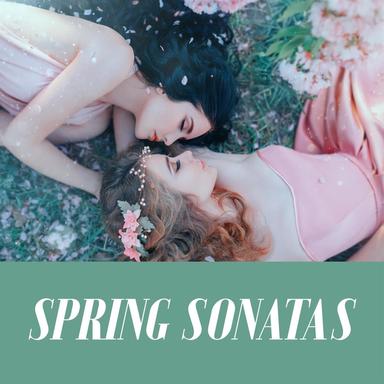 Violin Sonata No. 2 in D Major, Op. 94a: I. Moderato