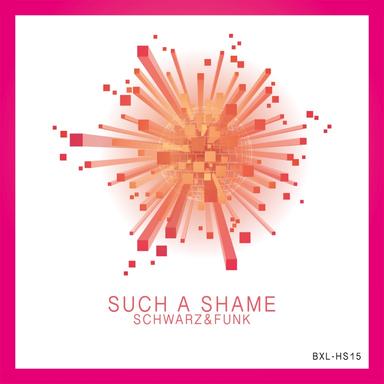 Such a Shame - Nu Disco Mix Radio Cut