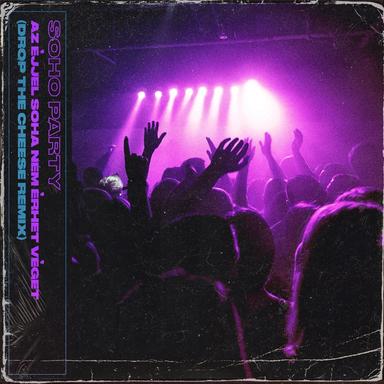 Az éjjel soha nem érhet véget - Drop The Cheese Remix Radio Edit