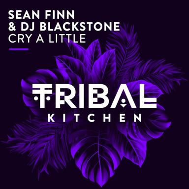 Cry a Little - Radio Edit