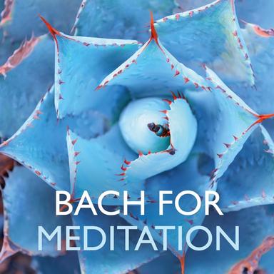 Keyboard Concerto No. 1 in D Minor, BWV 1052: II. Adagio