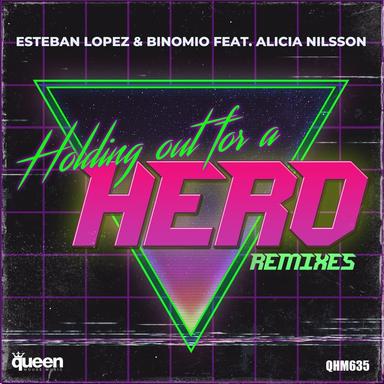 Holding out for a Hero - Dani Brasil & Rafael Dutra Remix