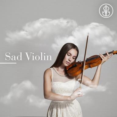Violin Concerto in D Major Op. 77: II. Adagio