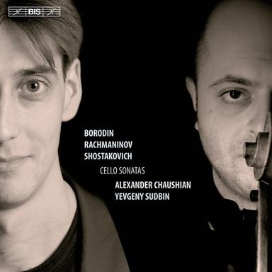 Cello Sonata in D Minor, Op. 40: III. Largo