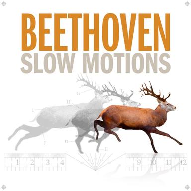 Piano Sonata No. 28, Op. 101