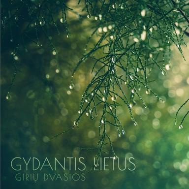 Gydantis lietus 3
