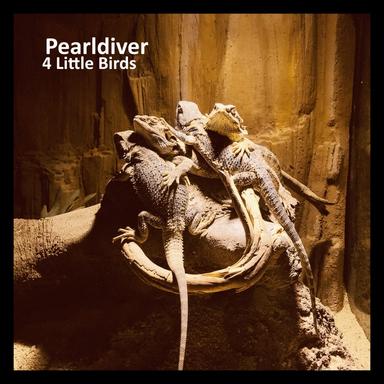4 Little Birds - Instrumental Mix