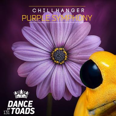 Purple Symphony - Radio Edit