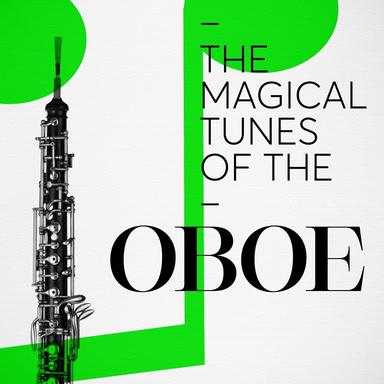 Oboe Concerto in C Major, K. 314: II. Adagio non troppo