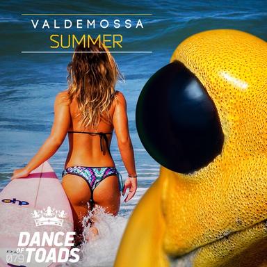 Summer - Instrumental Mix