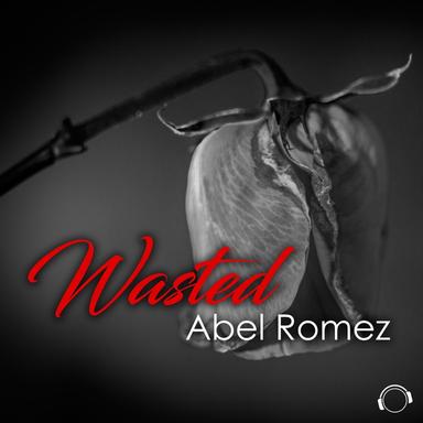 Wasted - Radio Edit