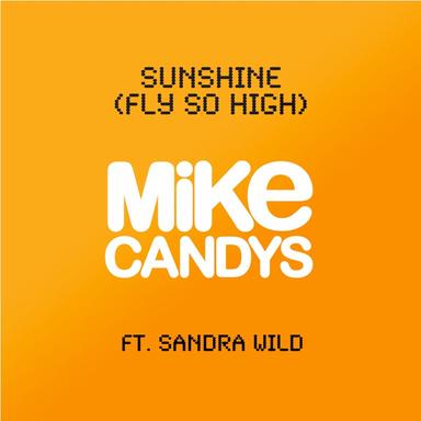 Sunshine (Fly So High) - 2012 Radio Mix