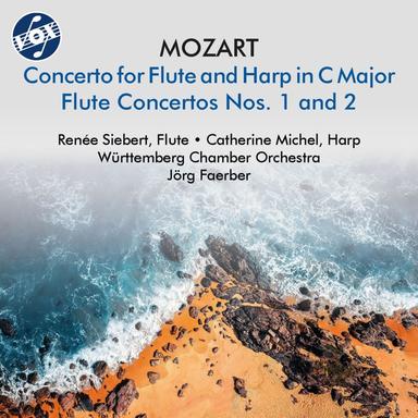 Flute Concerto No. 1 in G Major, K. 313: I. Allegro maestoso