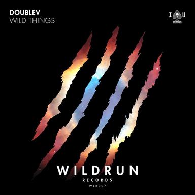Wild Things - Radio Edit