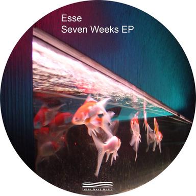 Seven Weeks