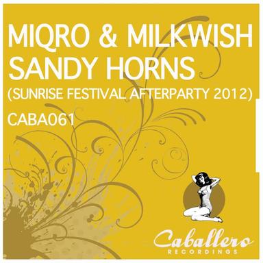 Sandy Horns - Sebastian Gnewkow Remix
