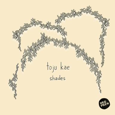 Shades - Pol R Remix