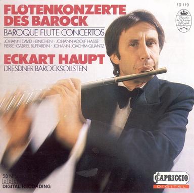 Flute Concerto in E Minor: II. Andante