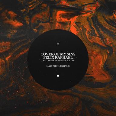 Cover of My Sins