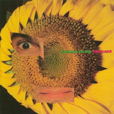 A Terceira Margem Do Rio