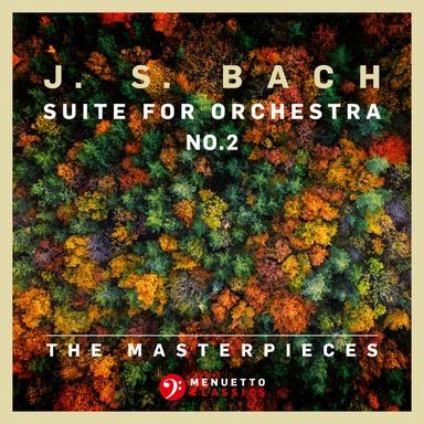 Suite for Orchestra No. 2 in B Minor for Flute and Strings, BWV 1067: III. Sarabande