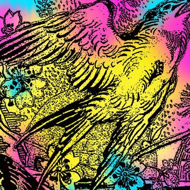 Ambient Braindisk - Drums Mix