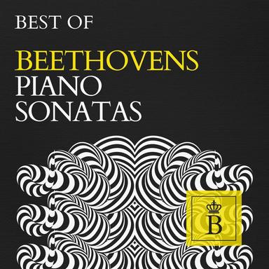 Piano Sonata No. 26 in E-Flat Major, Op. 81a "Les Adieux": III. Vivacissimamente - Poco andante "Le Retour"