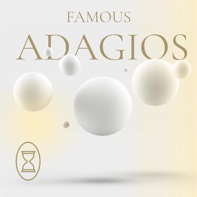 Violin Concerto No. 2 in B Minor, Op. 7: II. Adagio