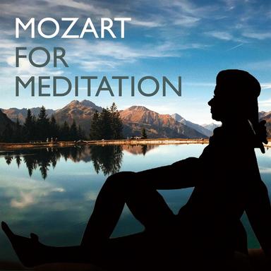 Flute and Harp Concerto in C Major, K. 299: II. Andantino