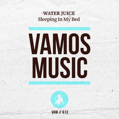 Sleeping in My Bed - Secret Sinz Radio Edit