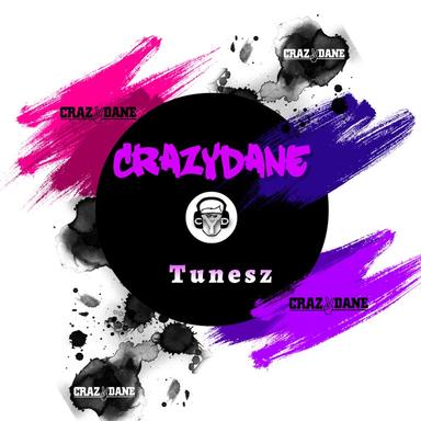 Turn it up - Crazydane Remix