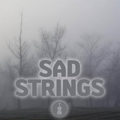 Concerto for 2 Violins in D Minor, BWV 1043: II. Largo ma non tanto