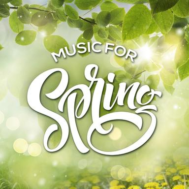The Four Seasons, Violin Concerto No. 1 in E Major, RV 269 "Spring": II. Largo