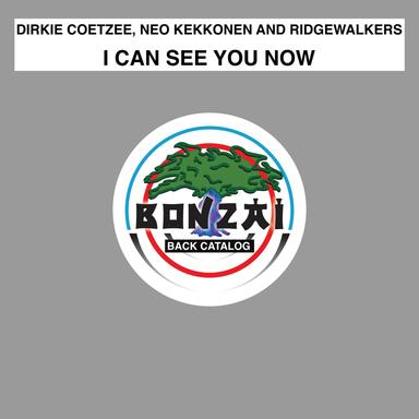 I Can See You Now - Dirkie Coetzee Progressive Mix