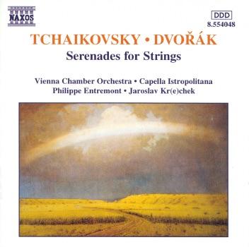 Serenade for Strings in E Major, Op.22: IV. Larghetto