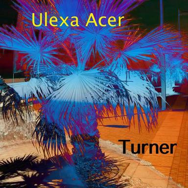 Spider - Single Edit