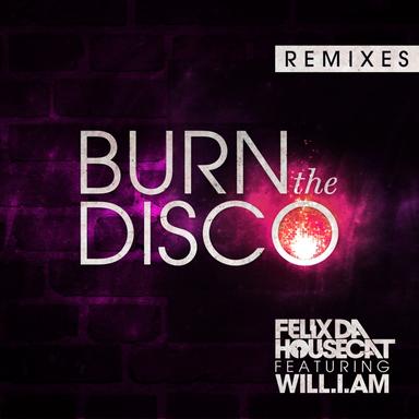 Burn the Disco (feat. will.i.am) - Bro Safari Remix