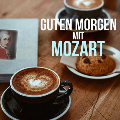 Piano Sonata No. 11 in A Major, K. 331 "Alla Turca": I. Andante grazioso