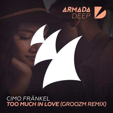 Too Much In Love - GROOZM Remix