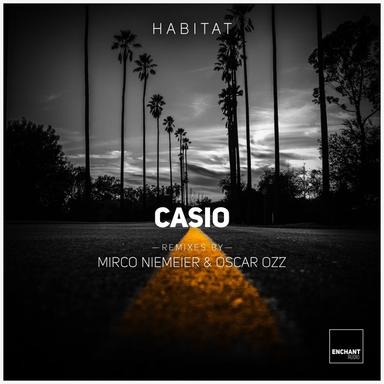 Casio - Mirco Niemeier Remix