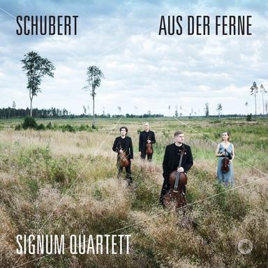 Du bist die Ruh, Op. 59 No. 3, D. 776 (Arr. X. van Dijk for String Quartet)